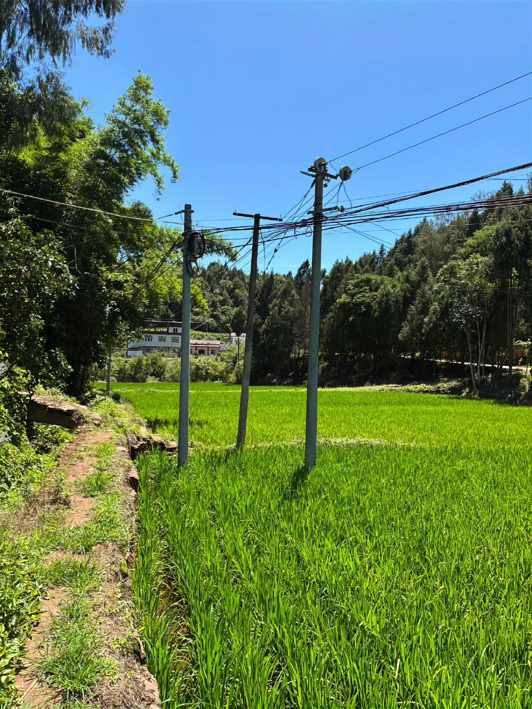 用什么留住这个夏天🌿