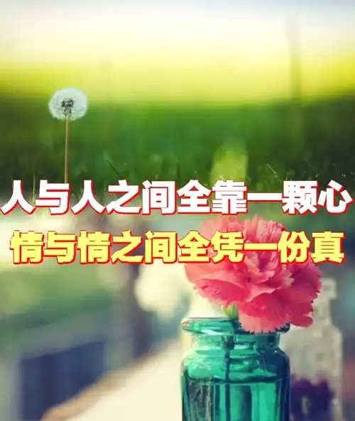 被真诚对待是种什么体验被人真诚对待真的太治愈了，不用小心翼翼猜心思，不用怕自己话
