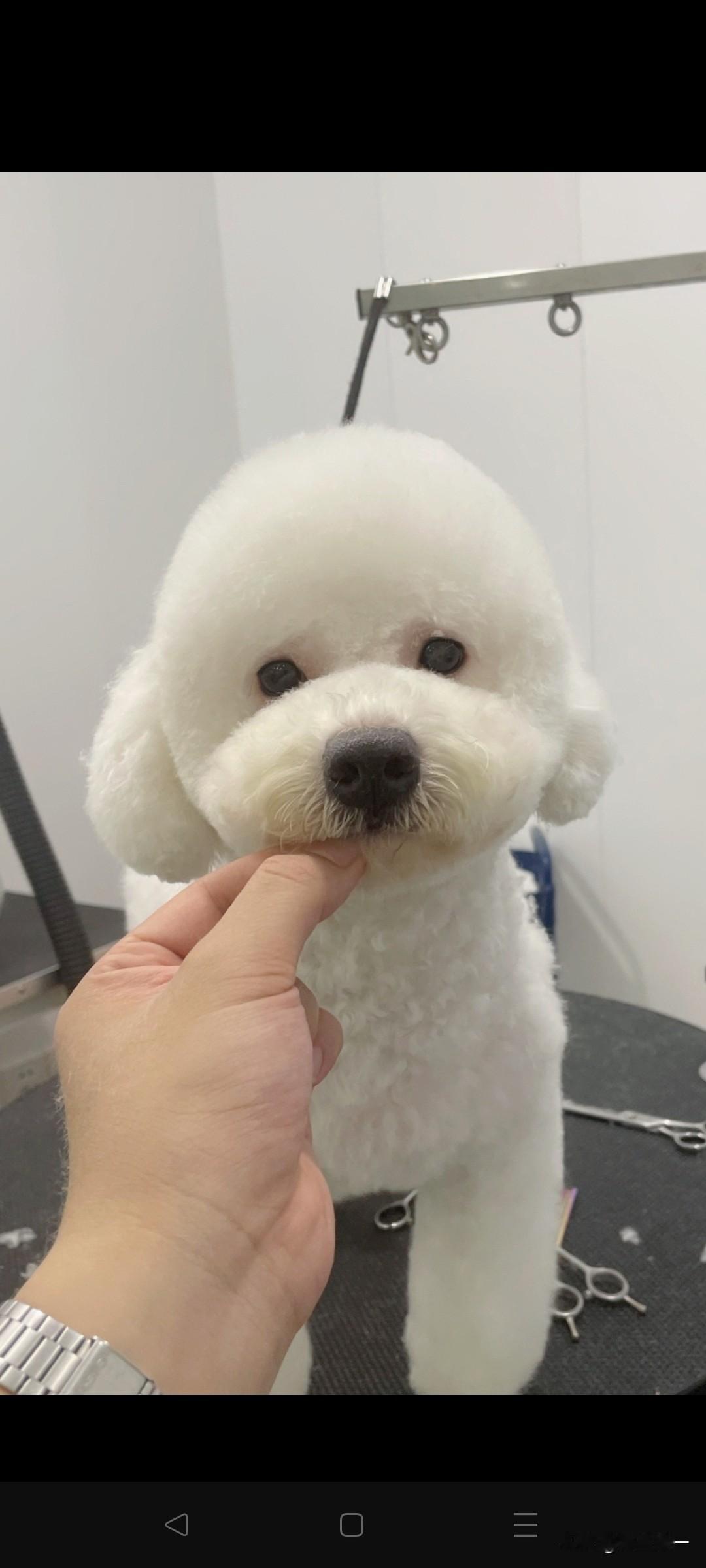 这个比春晚还精彩，
想出这个点子的导演真的是天才，
笑死我了，
第一天还说男女平