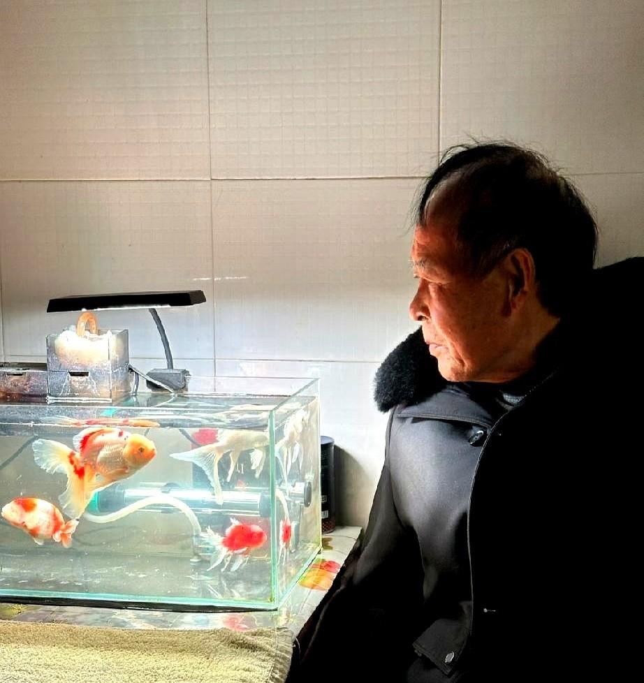 浙江宁波67岁的机械厂退休工人王大爷，因为妻子往新买的鱼缸里倒了一壶开水，默默用