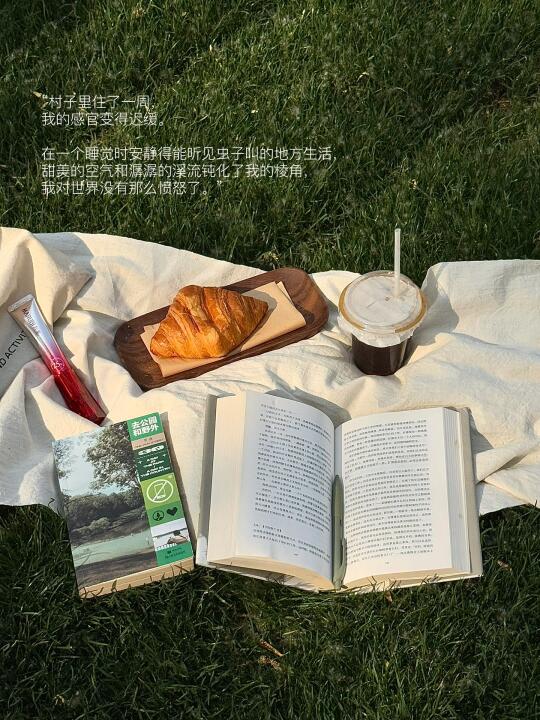 我的解压方式：独处 断联 晒太阳 读书