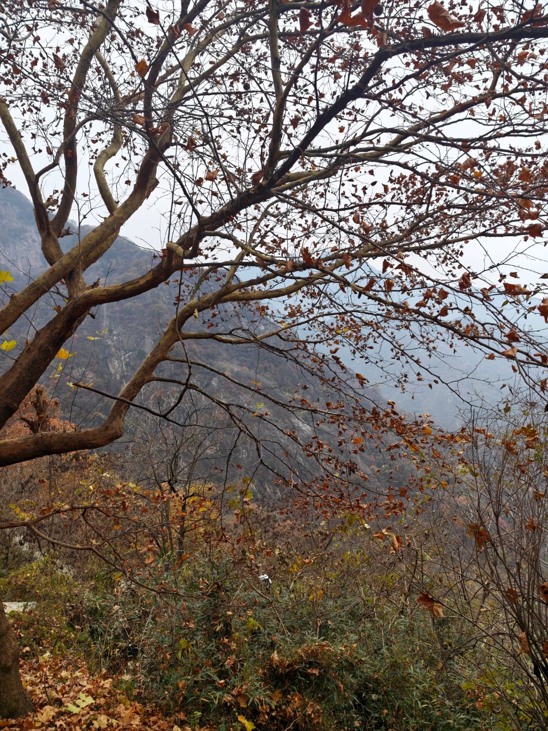 横看成岭侧成峰，远近高低各不同。 