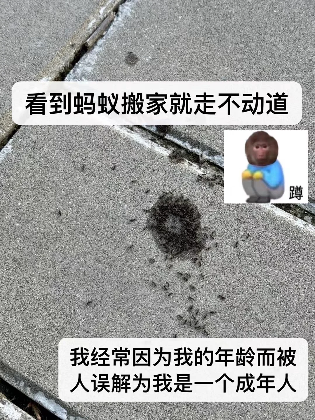 我将贷款起诉我的人生。