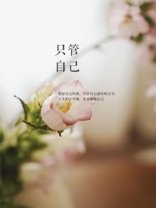 中年少女把力气收回来，用审美写作浇灌自己