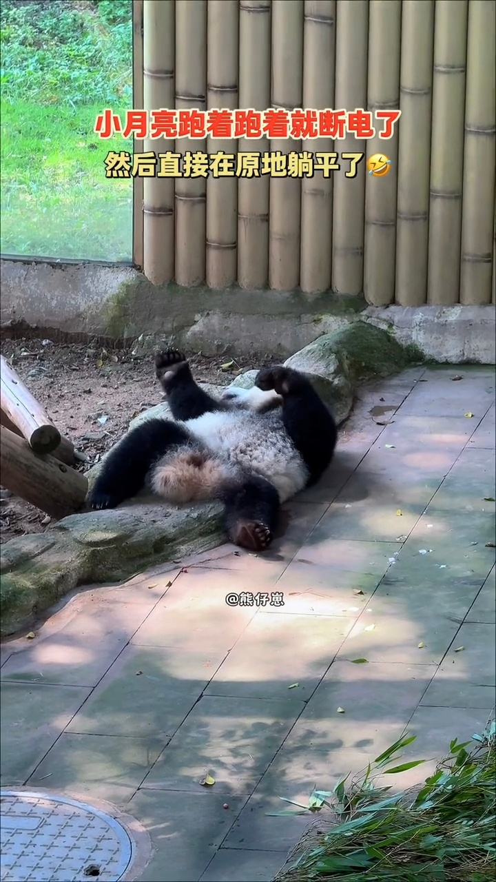 小月亮怎么跟爱姐似的也会断电