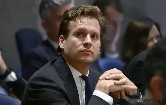 一个迟到的决定，中国必须要做。
那就是对荷兰经济大臣卡雷曼斯进行制裁。
因为这个