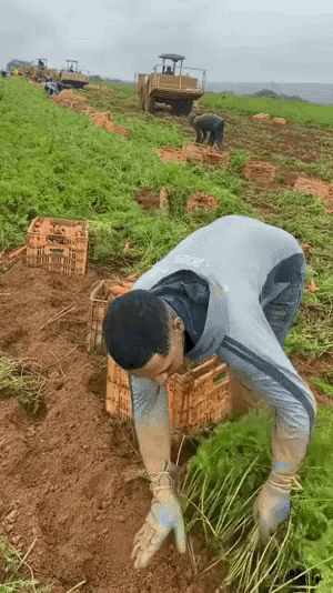 这个厉害，这个是真的吗？