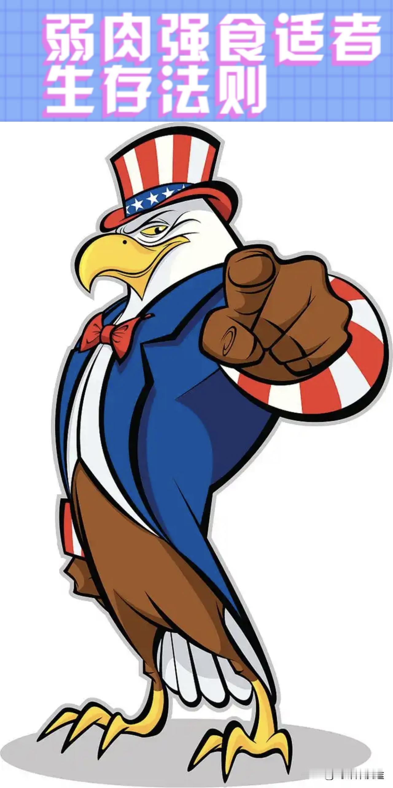 美国的“丛林法则” 与中方的“镖局逻辑”！谁主沉浮！
 美国已经从多年前的“美帝