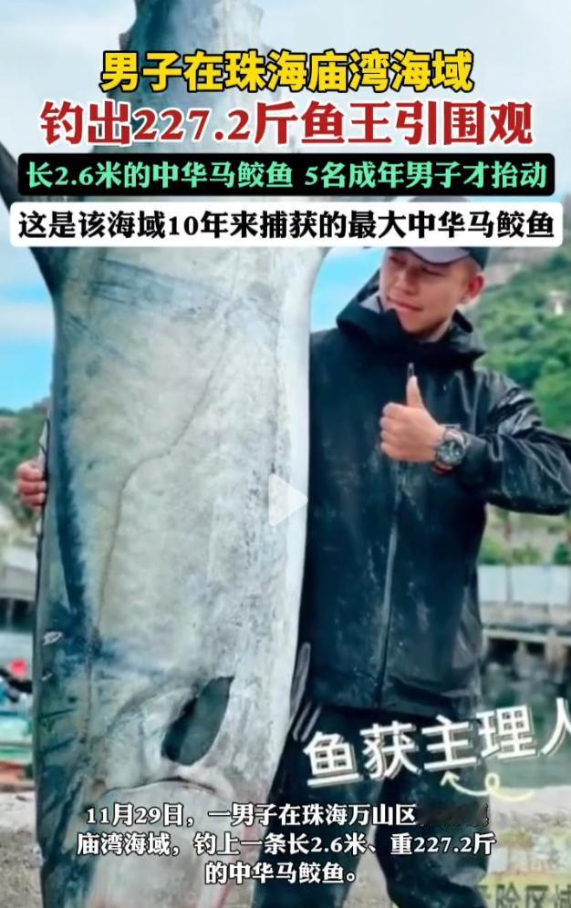 最近咱珠海的钓友圈彻底炸锅了，全因为万山庙湾海域出了件“活久见”的事儿——有位钓