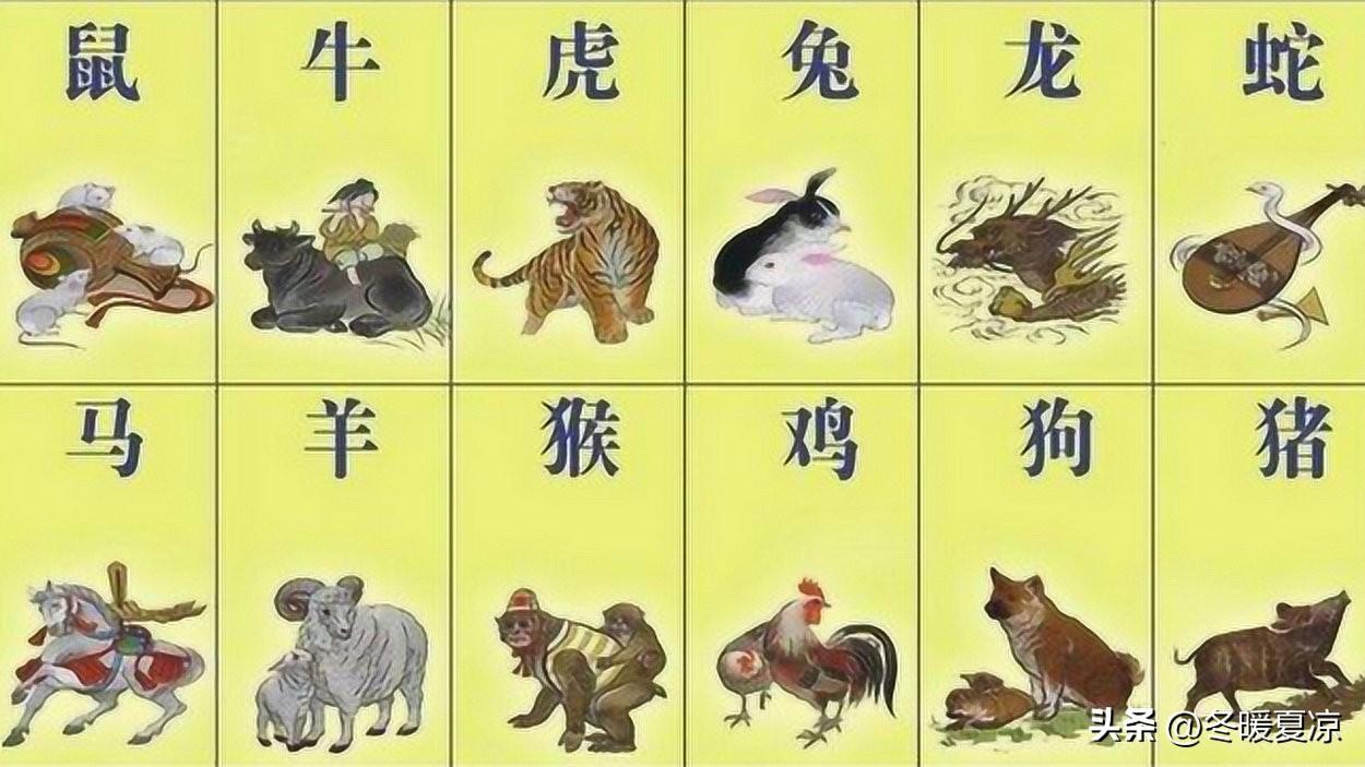12生肖鸟类转世对照表
 
1. 子鼠：白灵鸟转世
2. 丑牛：喜鹊转世
3. 