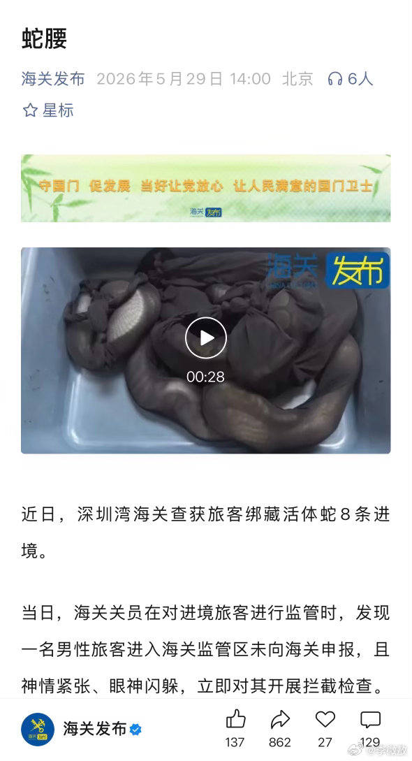 这哥们把活蛇绑在身上，然后试图过海关…… 