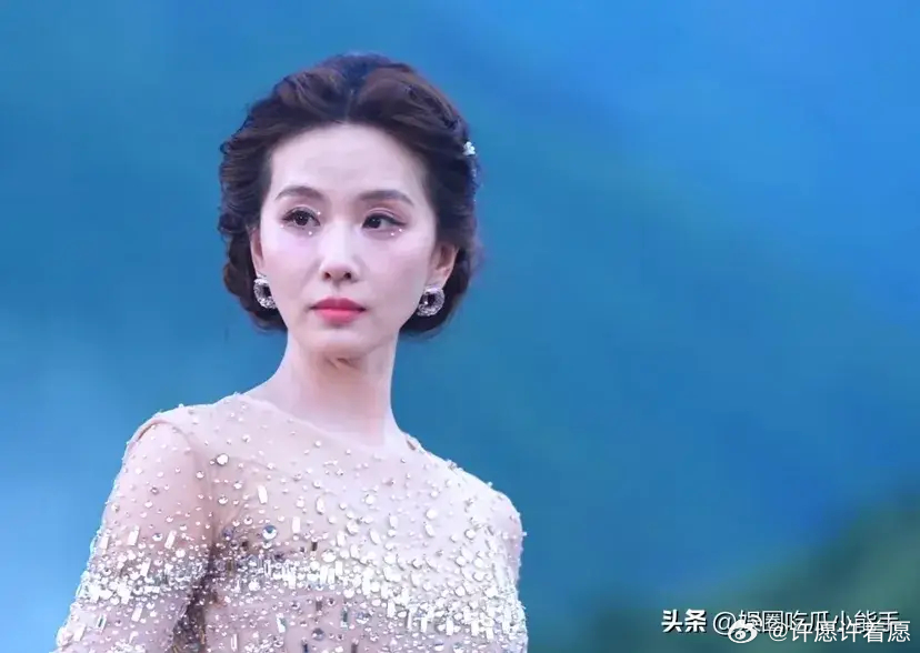 刘诗诗现身红毯，生图镜头下双眼无神疲惫感十足，看着显老十岁 