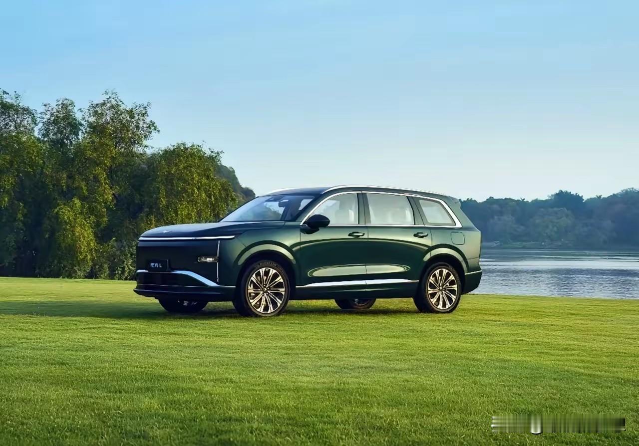 未来中国汽车存活率：
1、红旗汽车，100%存活
2、比亚迪汽车，100%存活
