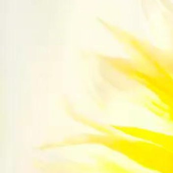 正能量在这个快节奏的时代里，人人都想着一往直前，往往忽略了身后的退路，殊不知，适