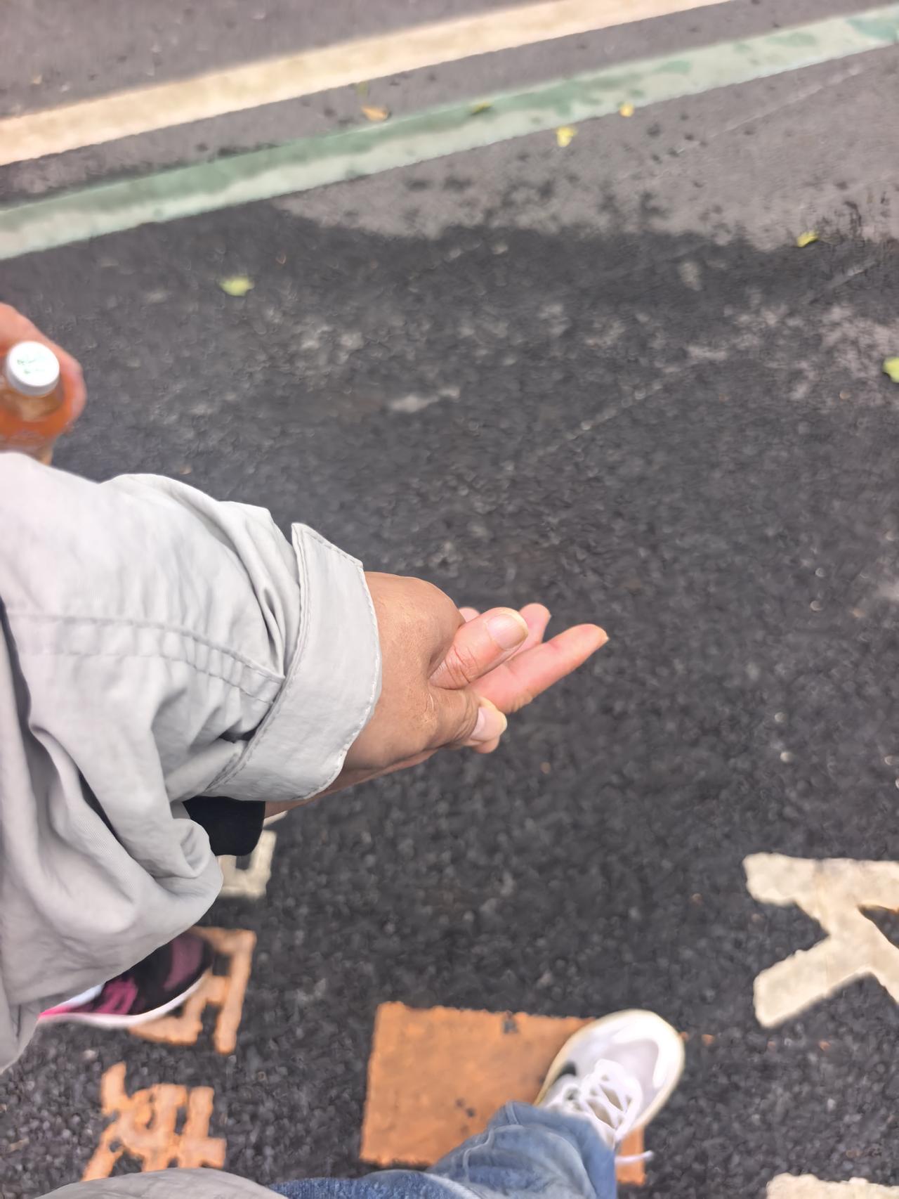 她出现了，她出现了，我的那个她终于来了，和她认识一段时间，约会好几次了，每次彼此