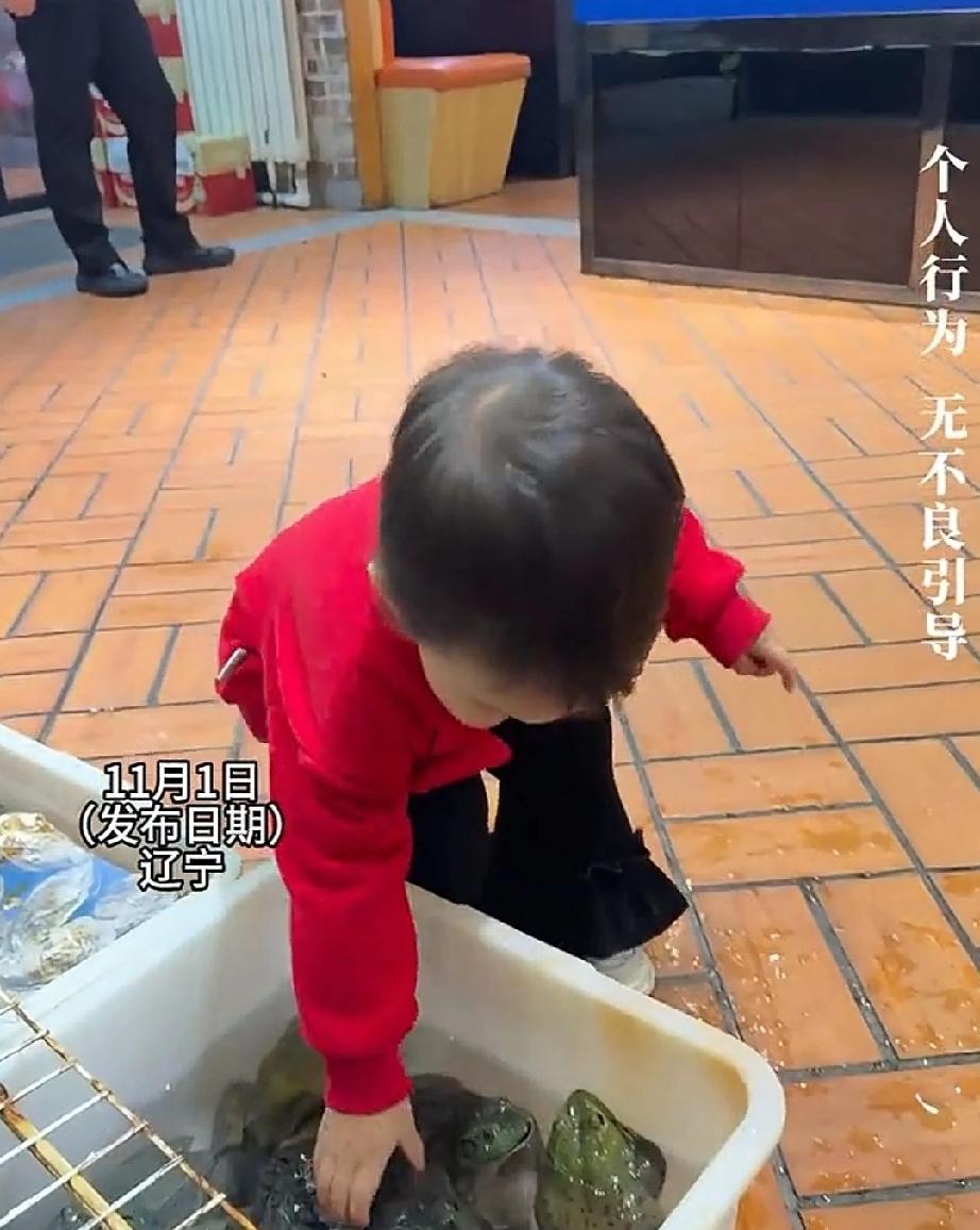 11月1日，辽宁。萌娃跟妈妈去饭店吃饭，看到门口生鲜区有各种鱼，塑料箱子里面还有