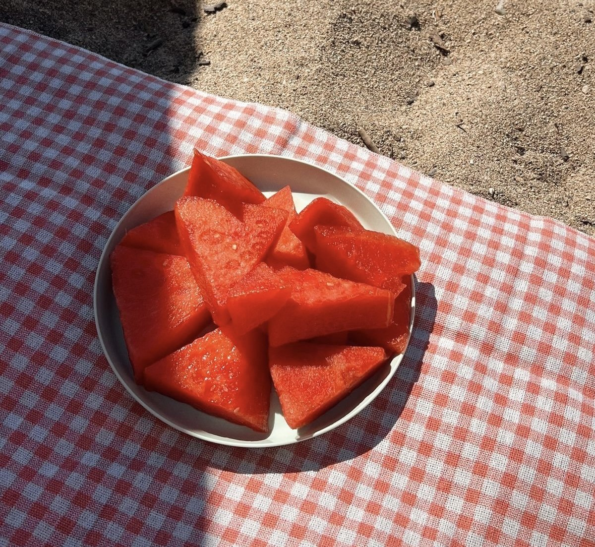 夏日情怀 