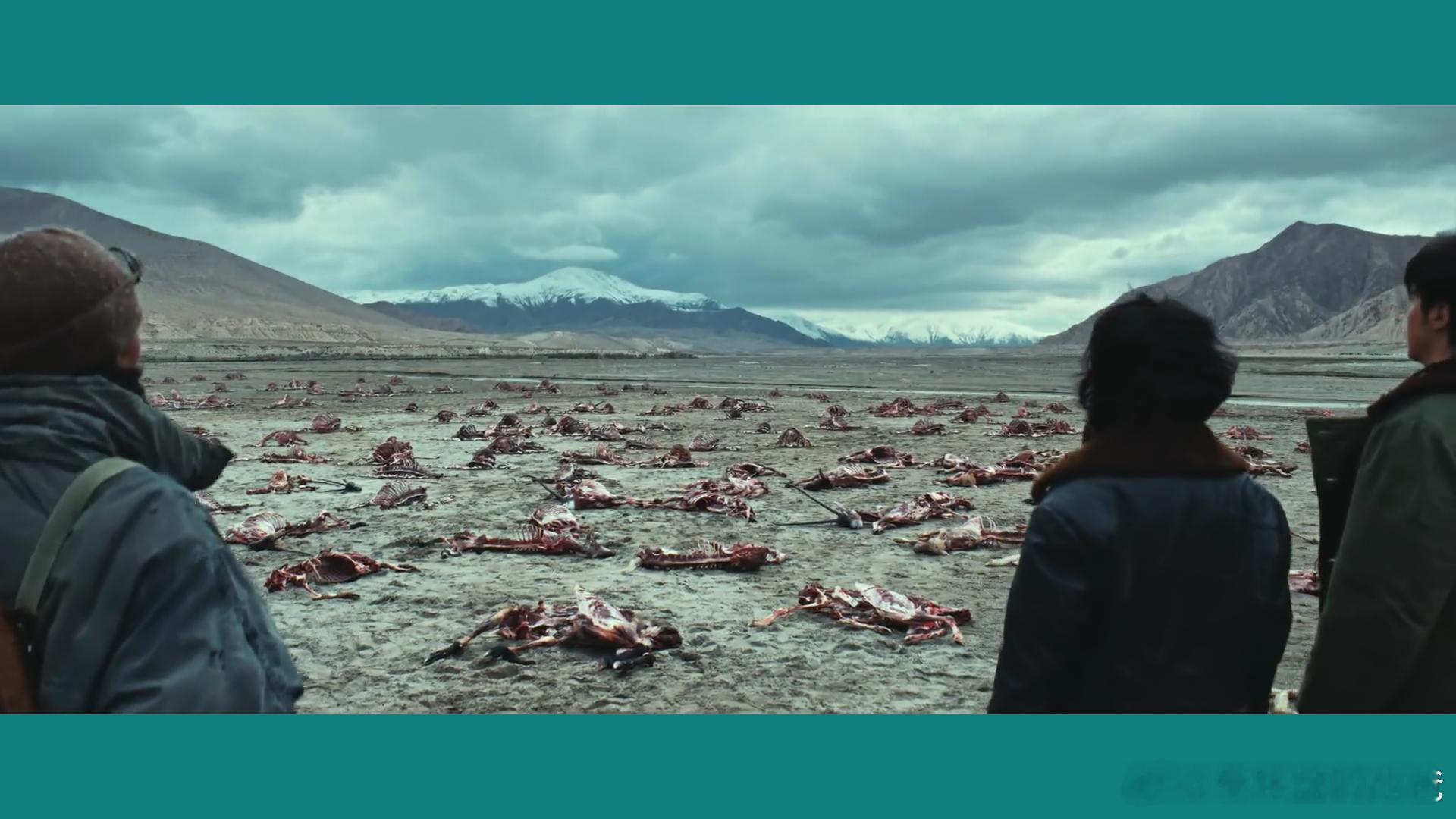 电视剧：生命之树，太有意义了，保护藏羚羊，保护环境，是每个公民应尽的责任和义务。