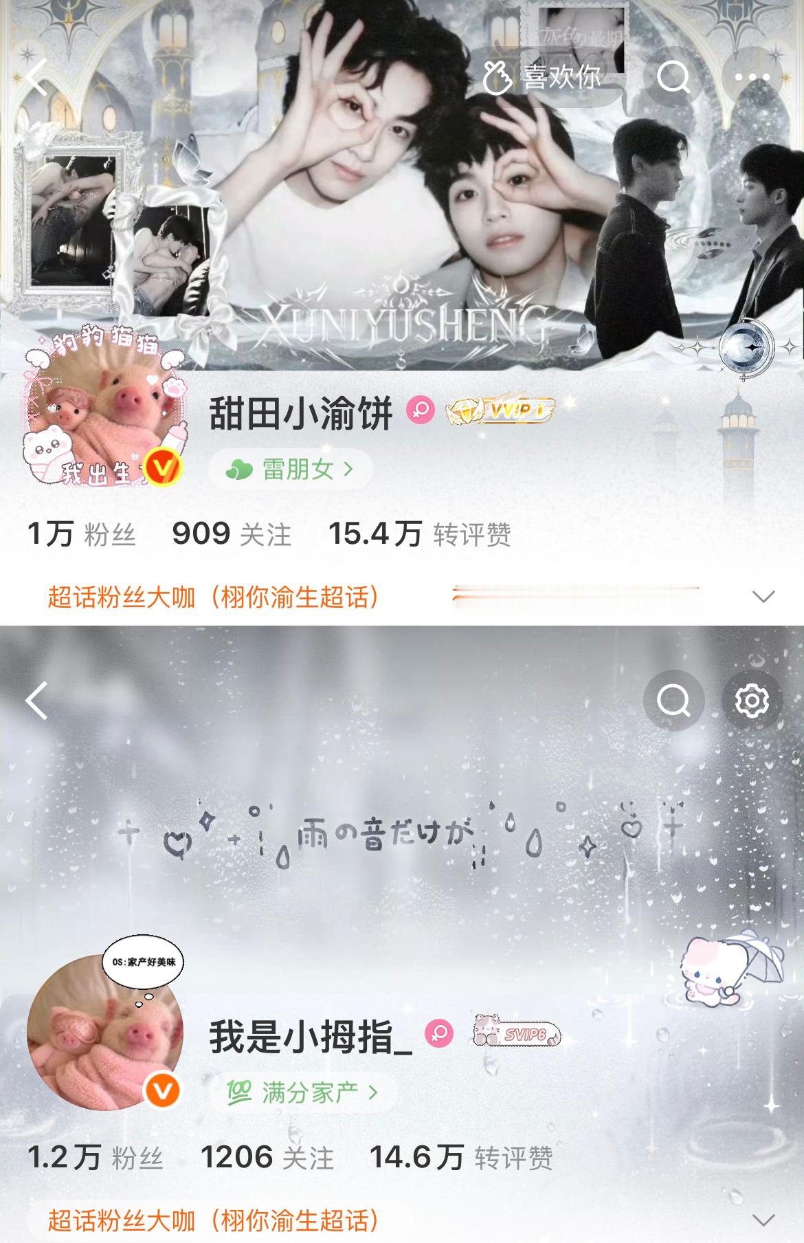 小猪晚安