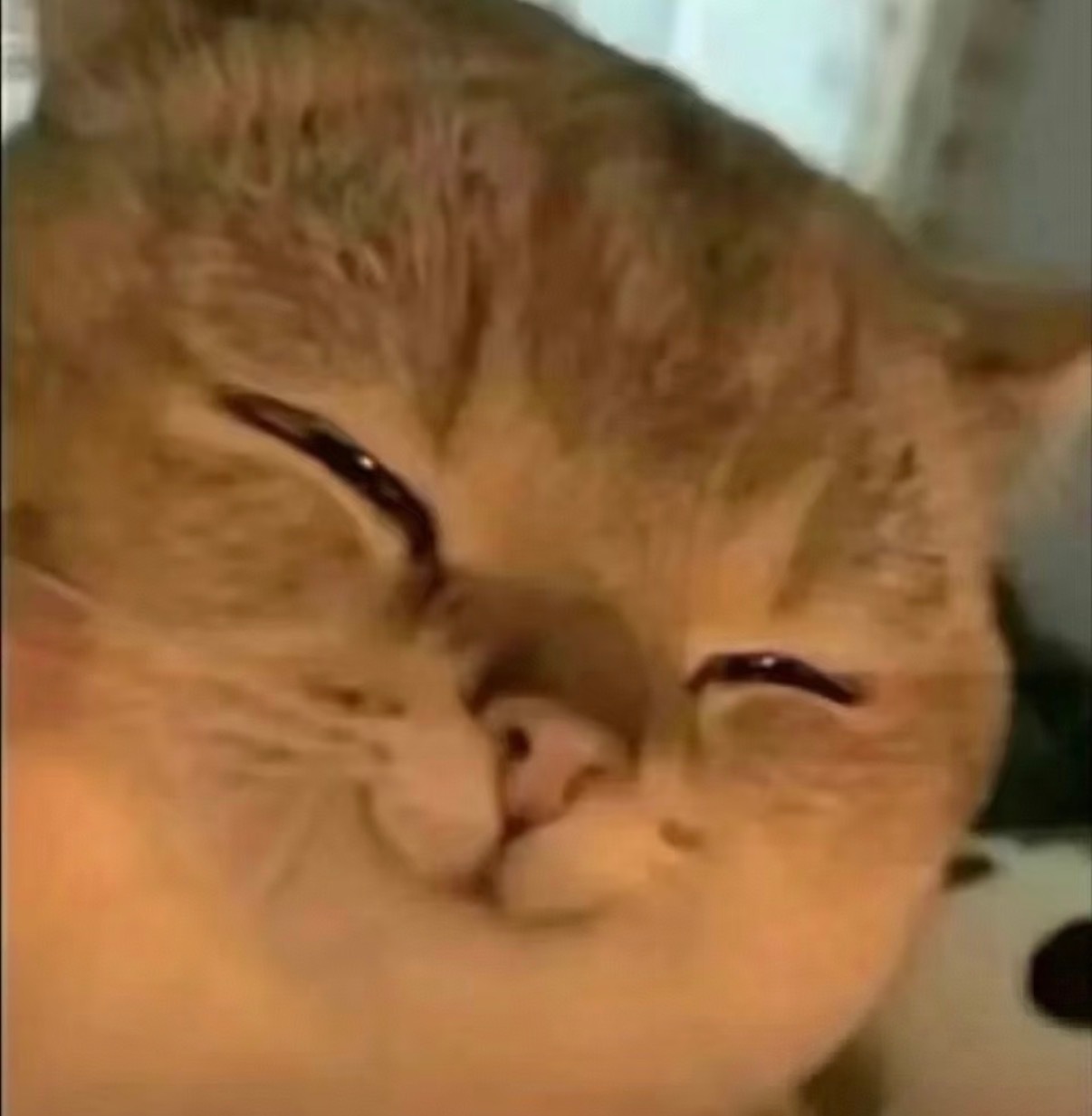 这迷人的倒三角 ​​​