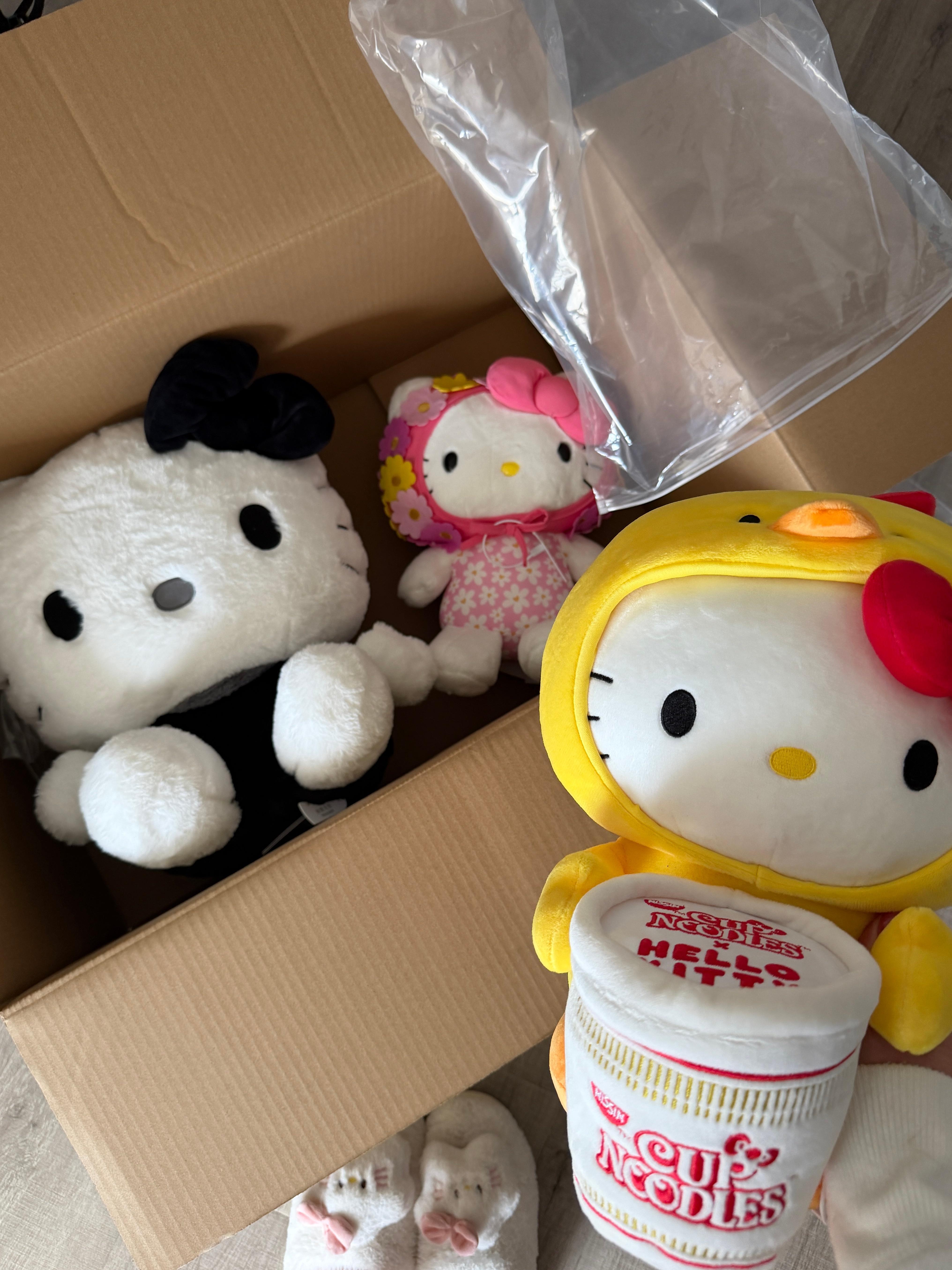 打开门看到房间  就觉得能睡很香了hellokitty