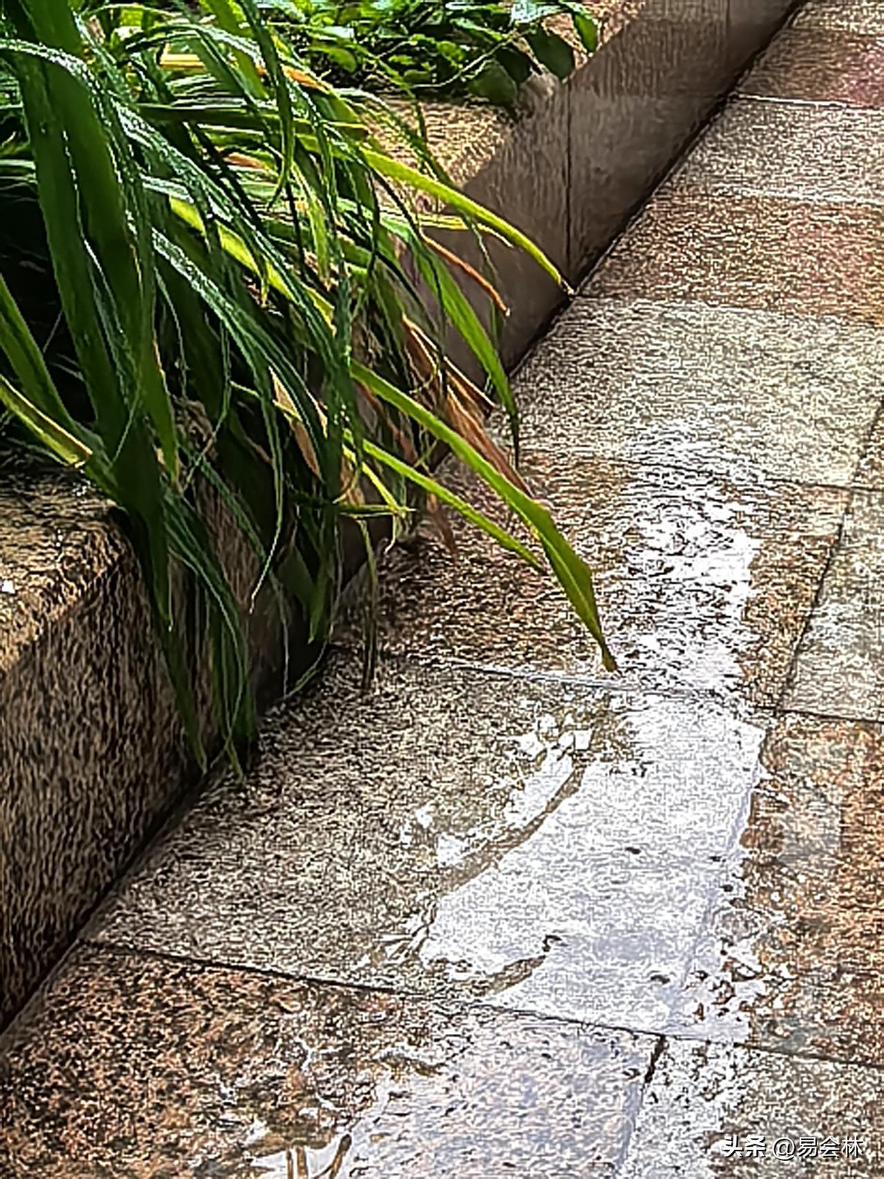 乌鲁木齐今日出现小雨，冷空气来袭气温明显下降，全天气温1‑12℃，风力较大，体感