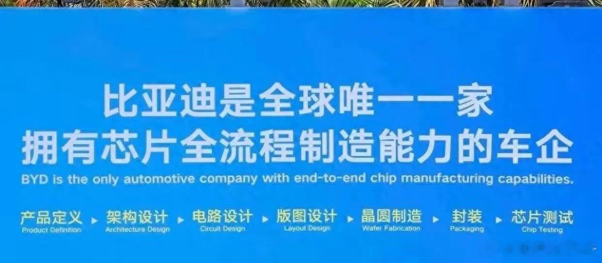 比亚迪IGBT项目年底投产，7nm智驾芯片成本打到60美元，这可能就是自给自足的