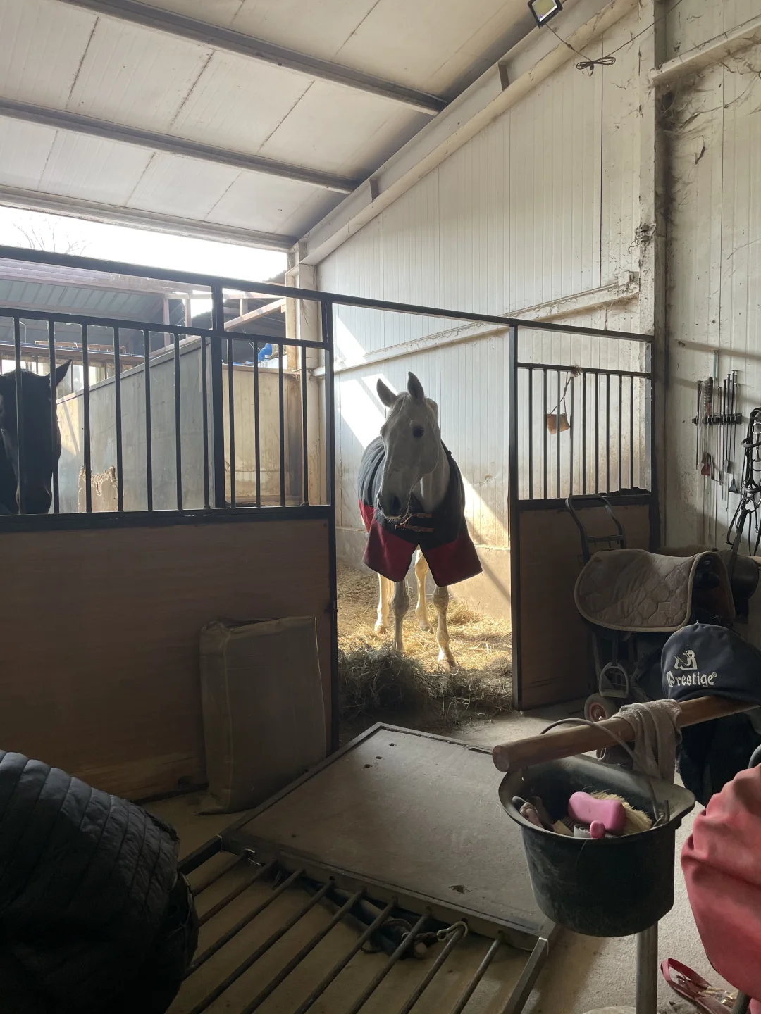 🦄️：吃着饭门咋给我拆咯？