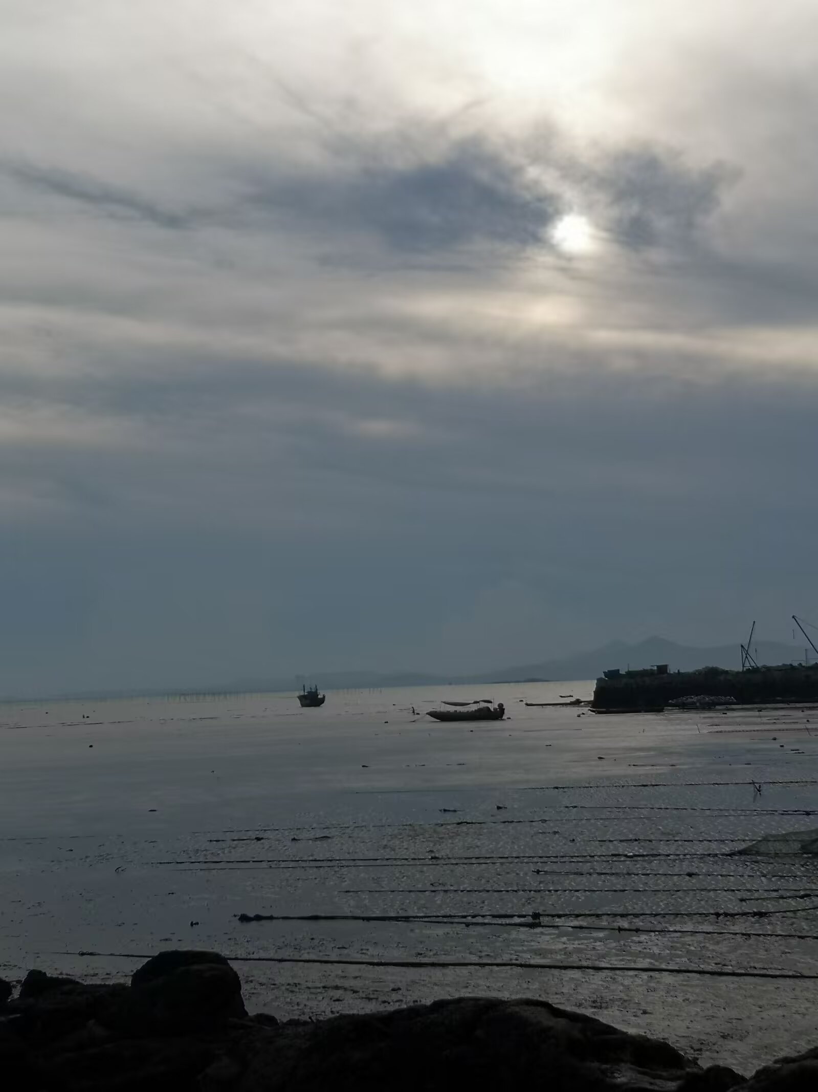 早上好。 ​​​