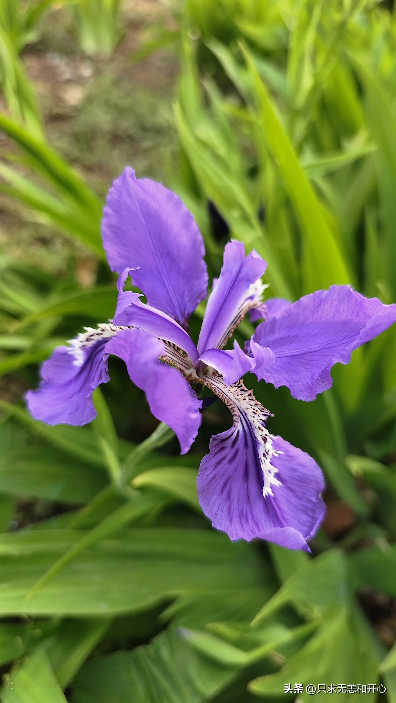 这几天一直刷到海洋故事会，说实话，听得我是毛骨悚然的感觉。
就感觉危机四伏，看身