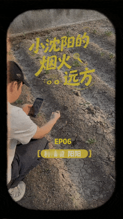 小沈阳有自己的种地吧哈哈哈哈，小沈阳又在分享自己的生活了，有一片自己的菜地，给我