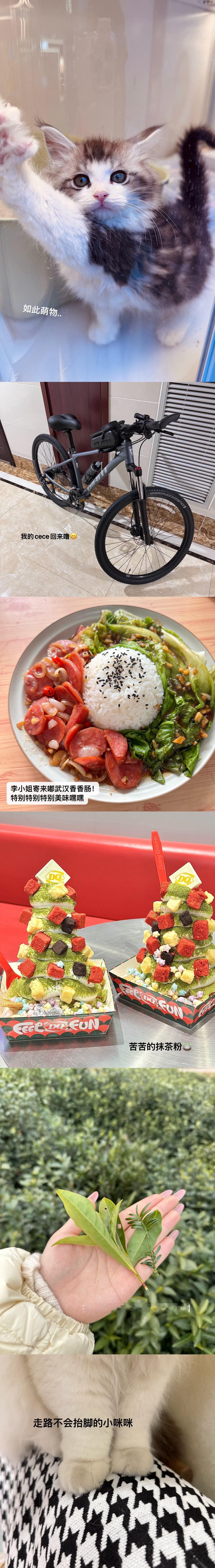 赶在除夕发完今年的皂片！新年快乐呀老婆宝宝们 新的一年身体健康心想事成🧧 