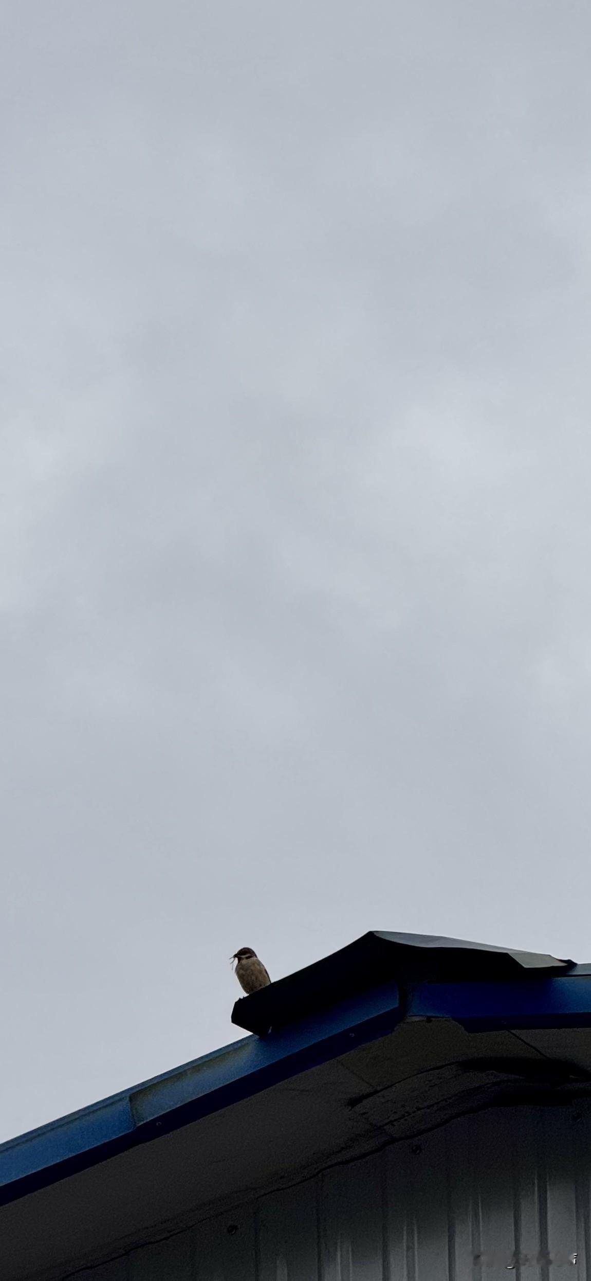 失去一个朋友，很简单。
看到一条消息，想着一会儿回。
一会儿之后，完全忘了。
三