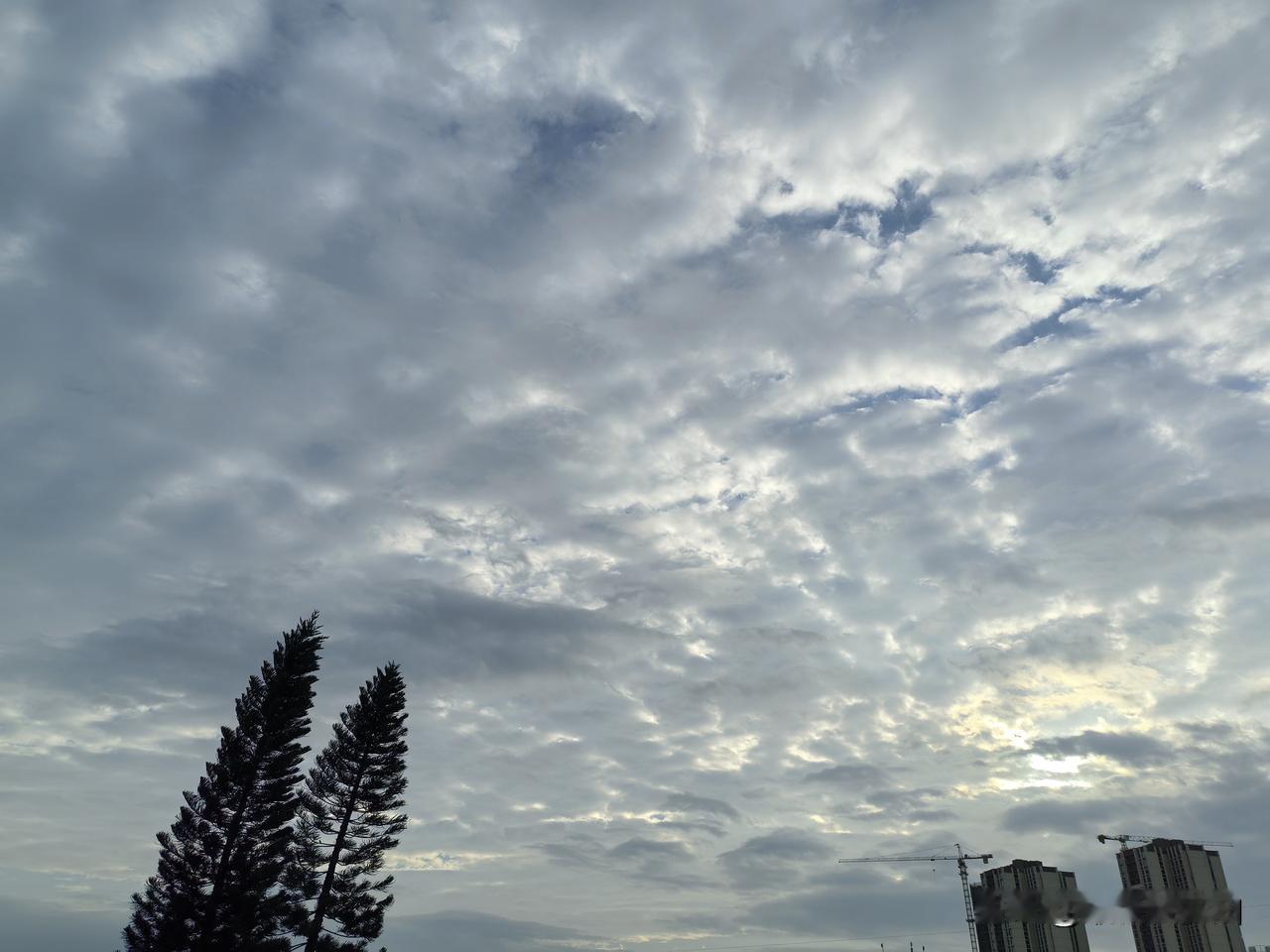 降温啦！降温啦！冷空气正在影响广东，全省喜提换季式降温！

25～26日，中等强