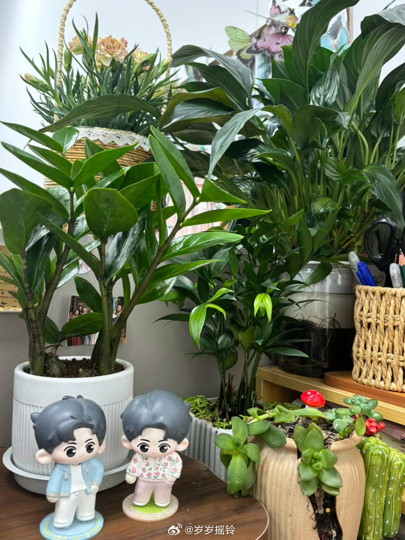 哄自己上班中 ​​​
