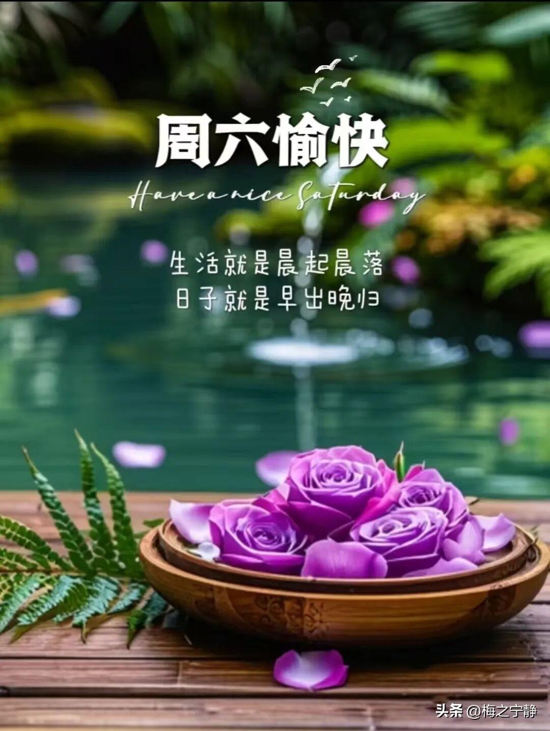 🌼²⁰²⁶/₀₆.₂₇ᵕ̈周六｜早安💕🍃🍎🐎
周六清晨，慵懒又温柔
慢