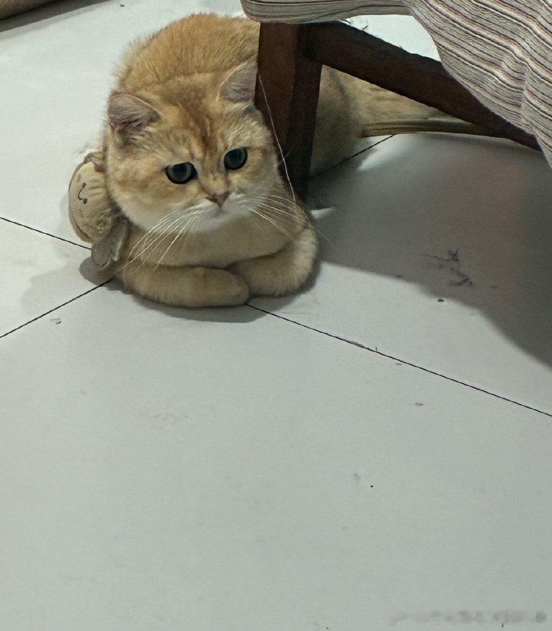 [便便][便便][便便] ​​​