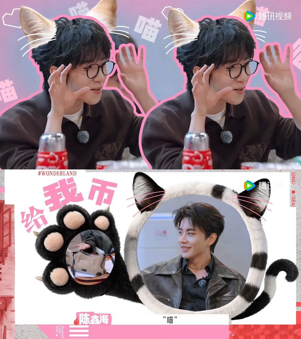 桃花坞闹猫了五十公里桃花坞 王子奇喵完陈鑫海喵，陈鑫海喵完下一个是谁？这节目再不