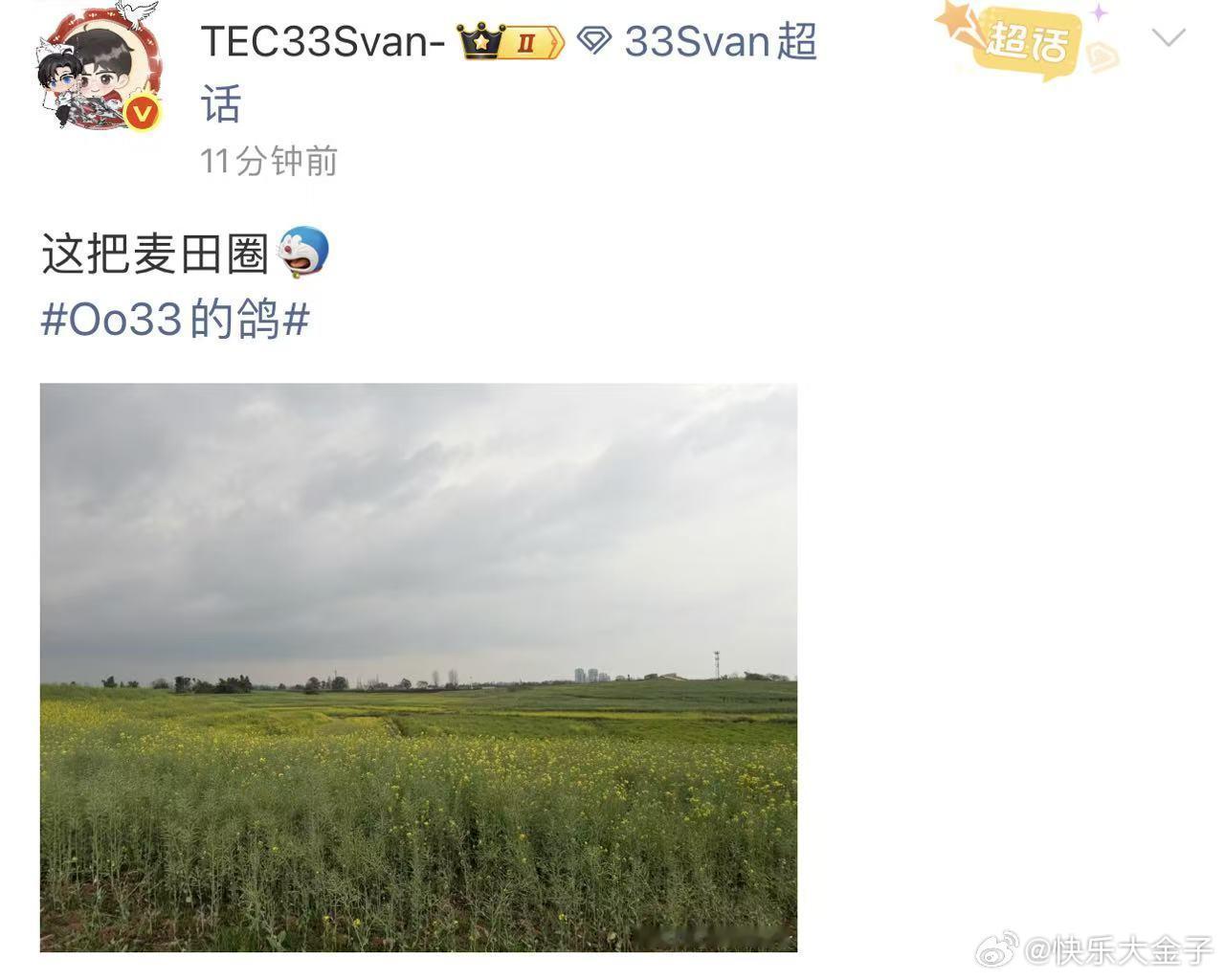 33这把麦田圈 33解锁麦田圈这是上哪拍摄了33Svan