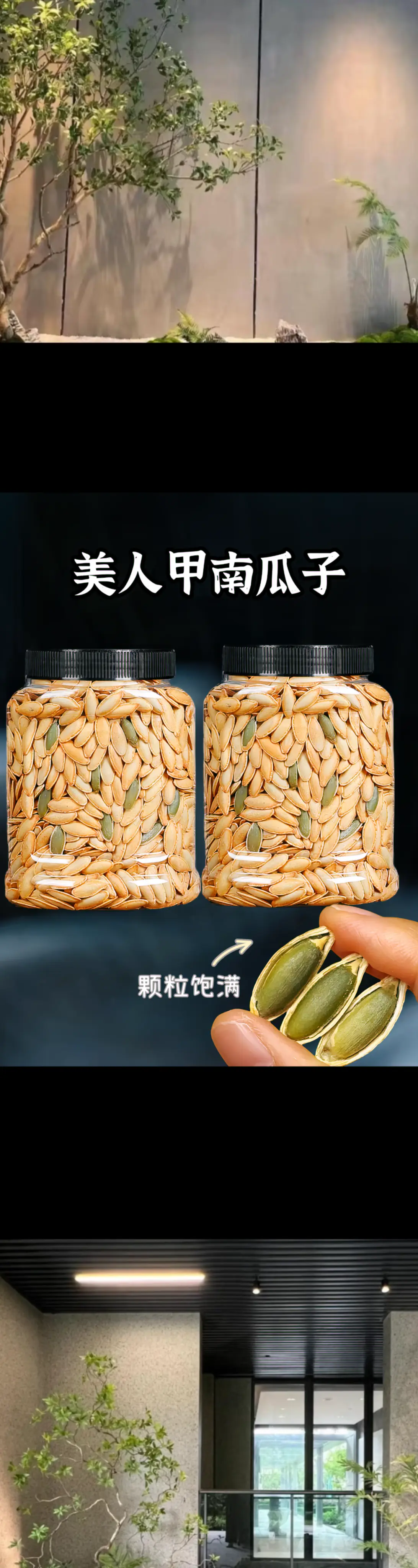 长粒美人甲南瓜子，独特的美味等你来发现！好吃到根本停不下来！长粒美人甲...