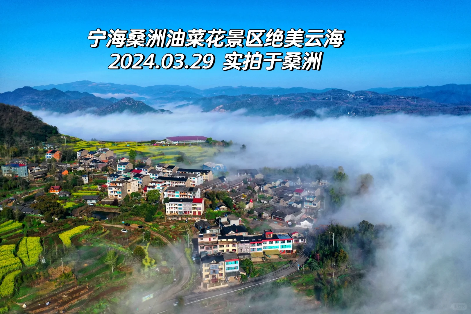 宁波｜云海仙境，宁海桑洲油菜花景区偶遇到了