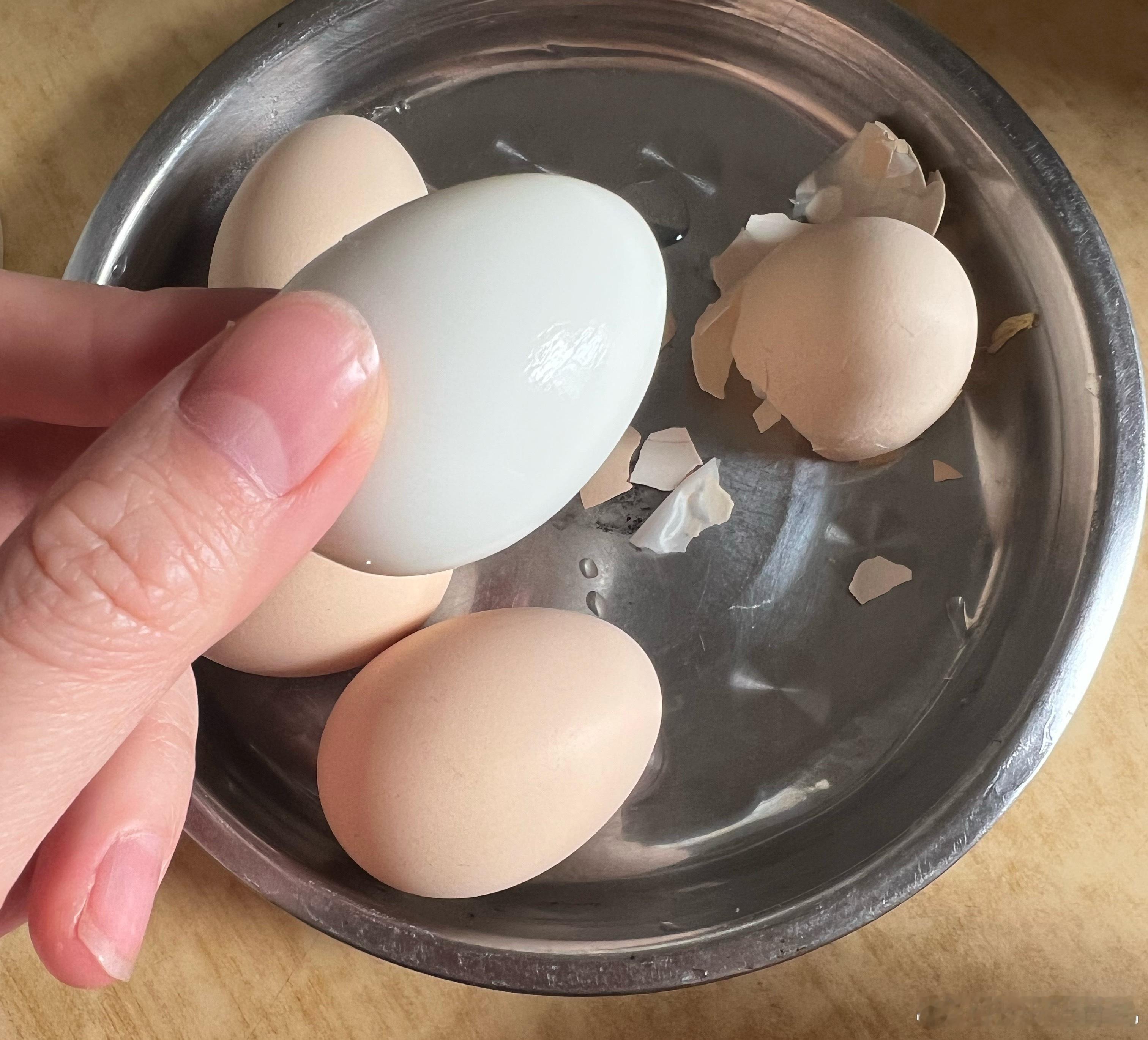 米米奶奶养的鸡生出来了初生蛋～这是个迷你鸡蛋说营养特别丰富新浪育儿健康年好好过大