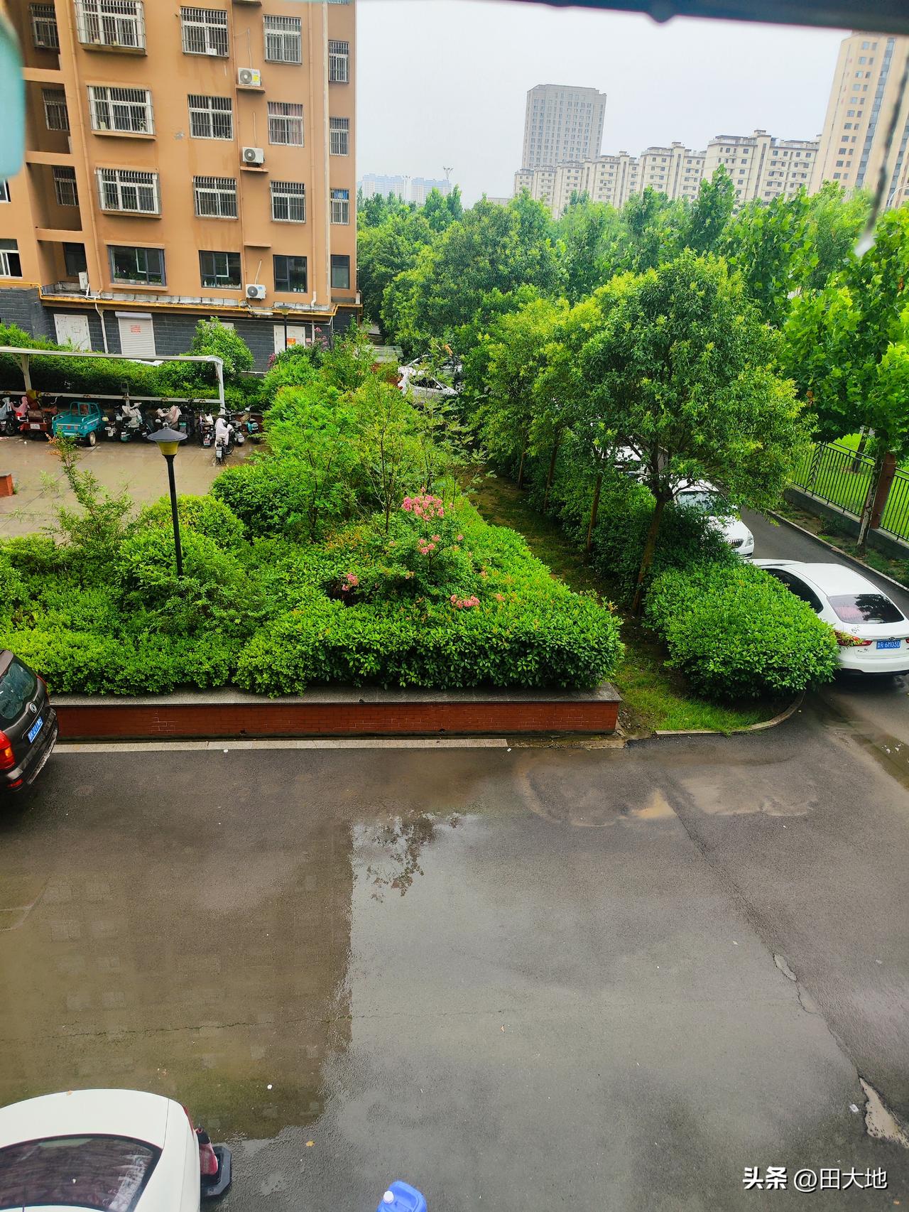我的今日状态：🐯虎虎生威
我这里的天气：🌤️多云

晚上雷声轰鸣，闪电交加，