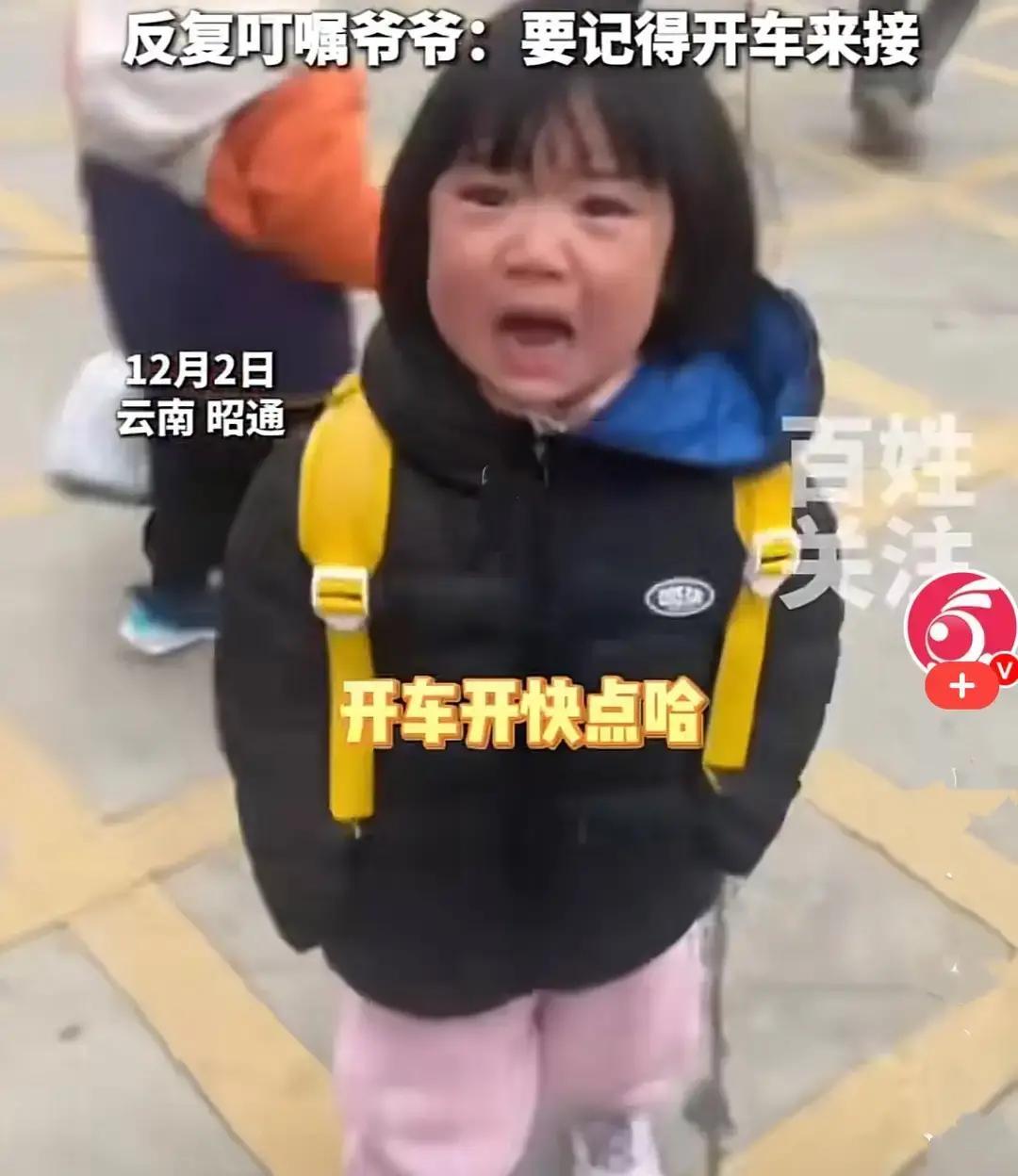 这个小女孩的眼泪还没擦干，小手已经主动牵起爷爷往幼儿园走——云南这位3岁萌娃用"