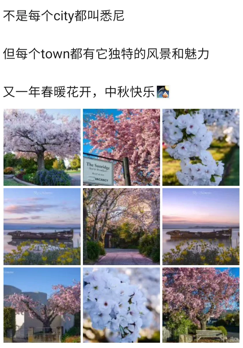 whv不止攒了225万还玩了好多地方，不信右划