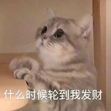 蒋叶逛逛汽车