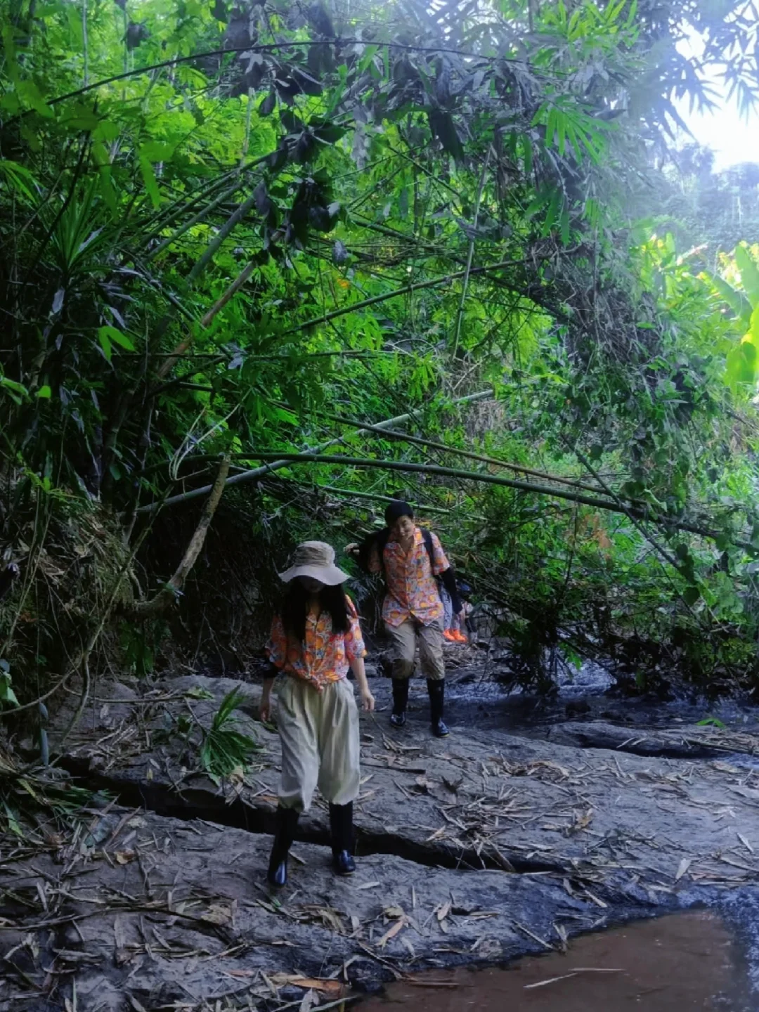 全新打开方式✔带你解锁不一样的雨林徒步