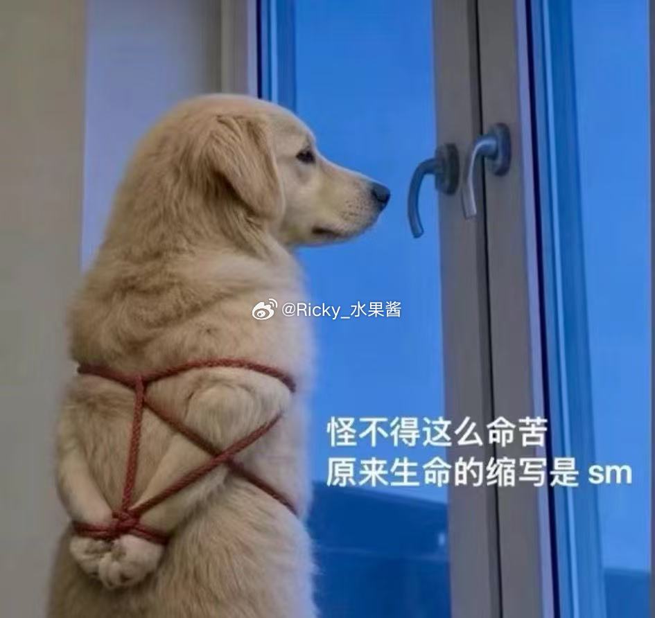 看了马西西一串四觉得自己手感火热结果一下午都没撤出来过 哭唧唧 