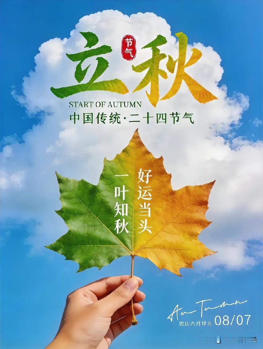 夏日的烈日蒸腾、繁花盛放、骤雨滂沱，所有极致的热烈，都没有白白消散。荷花在暑气里