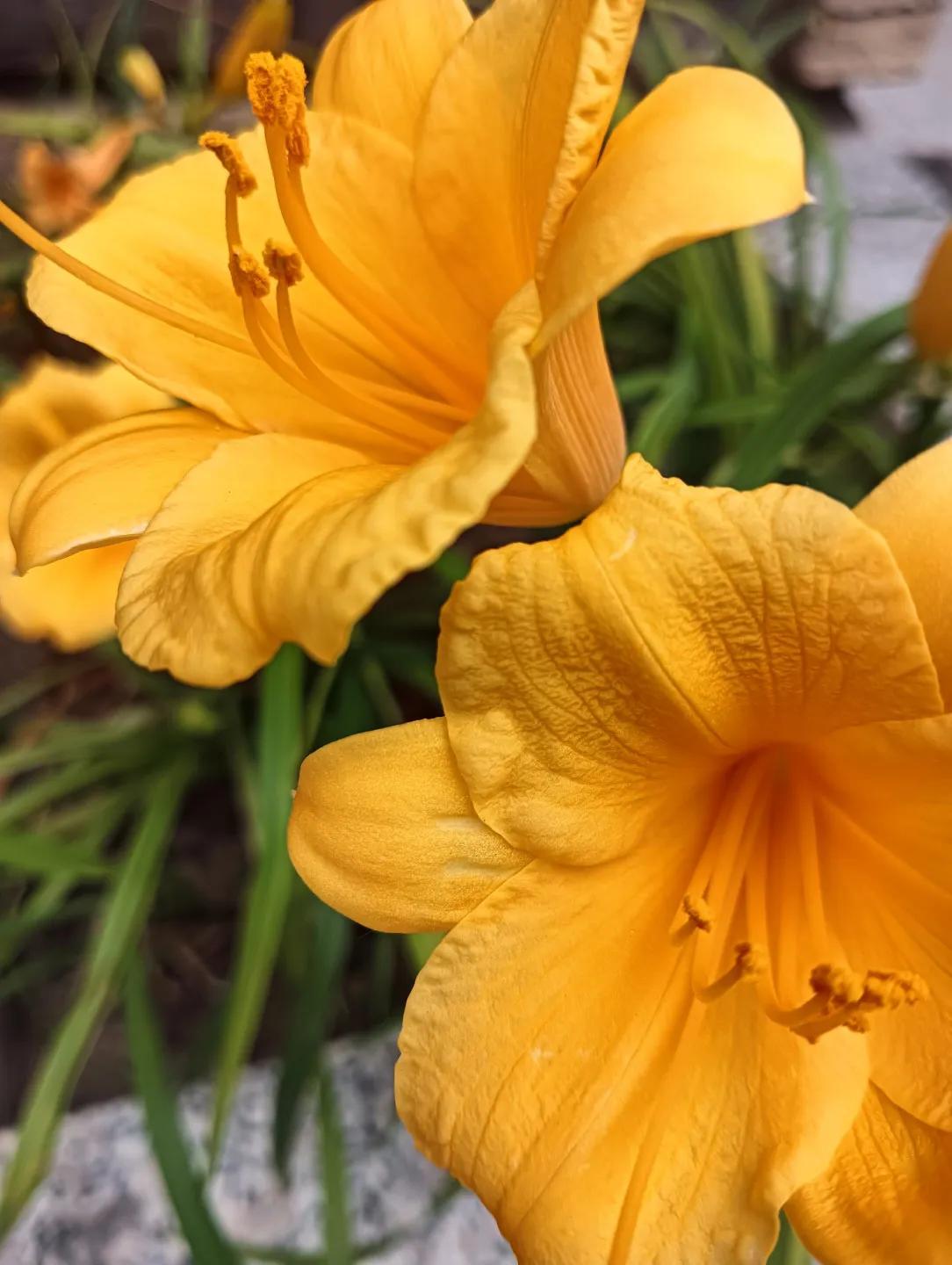 秋日生活打卡季